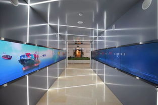 約嗎, 一帶一路 展示中心正式開(kāi)放