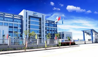 5g 8k,體驗今年最火的概念,仲愷這家企業厲害了