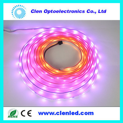 【最新DMX512 并聯(lián)控制 幻彩燈條 30燈 12V】價格,廠家,圖片,LED燈帶/燈條/燈片,深圳市晨亮光電科技-